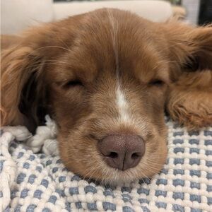 🤍HI CHECK OUT MY ACCOUNT